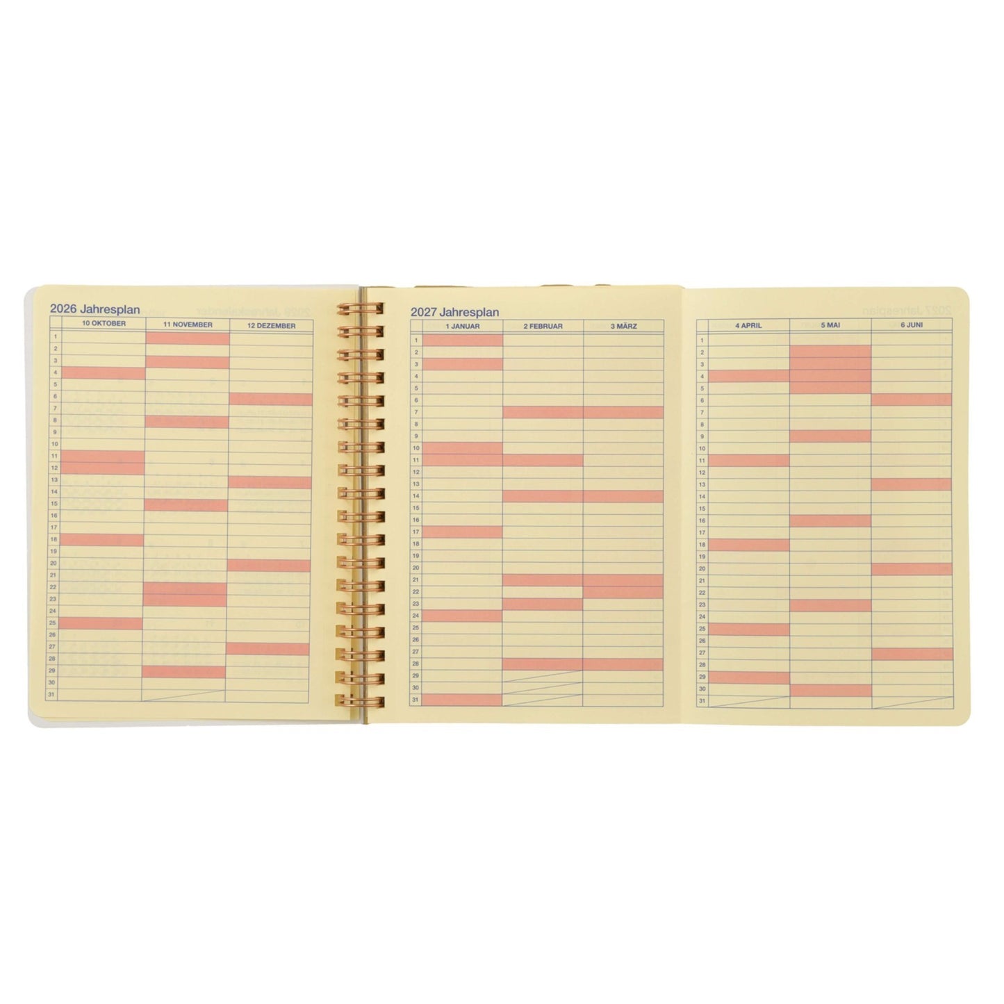 Japan Tokyo Disney Store Minnie & Friends Delfonics Rollbahn Diary L 2027