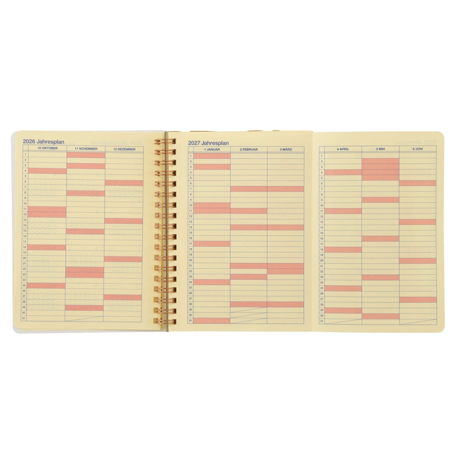 Japan Tokyo Disney Store Minnie & Friends Delfonics Rollbahn Diary L 2027