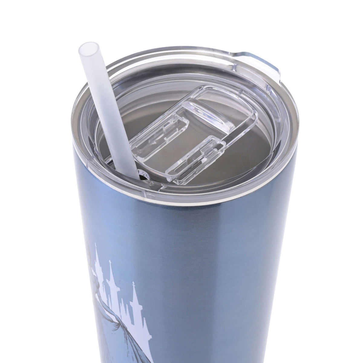 Japan Tokyo Disney Store Cinderella Tumbler Stainless Steel with Straw Drinkware