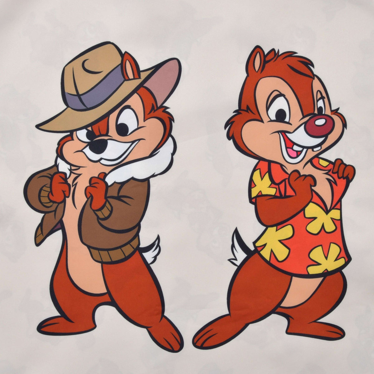 Japan Tokyo Disney Store Chip & Dale Shopping Eco Bag Rescue Rangers