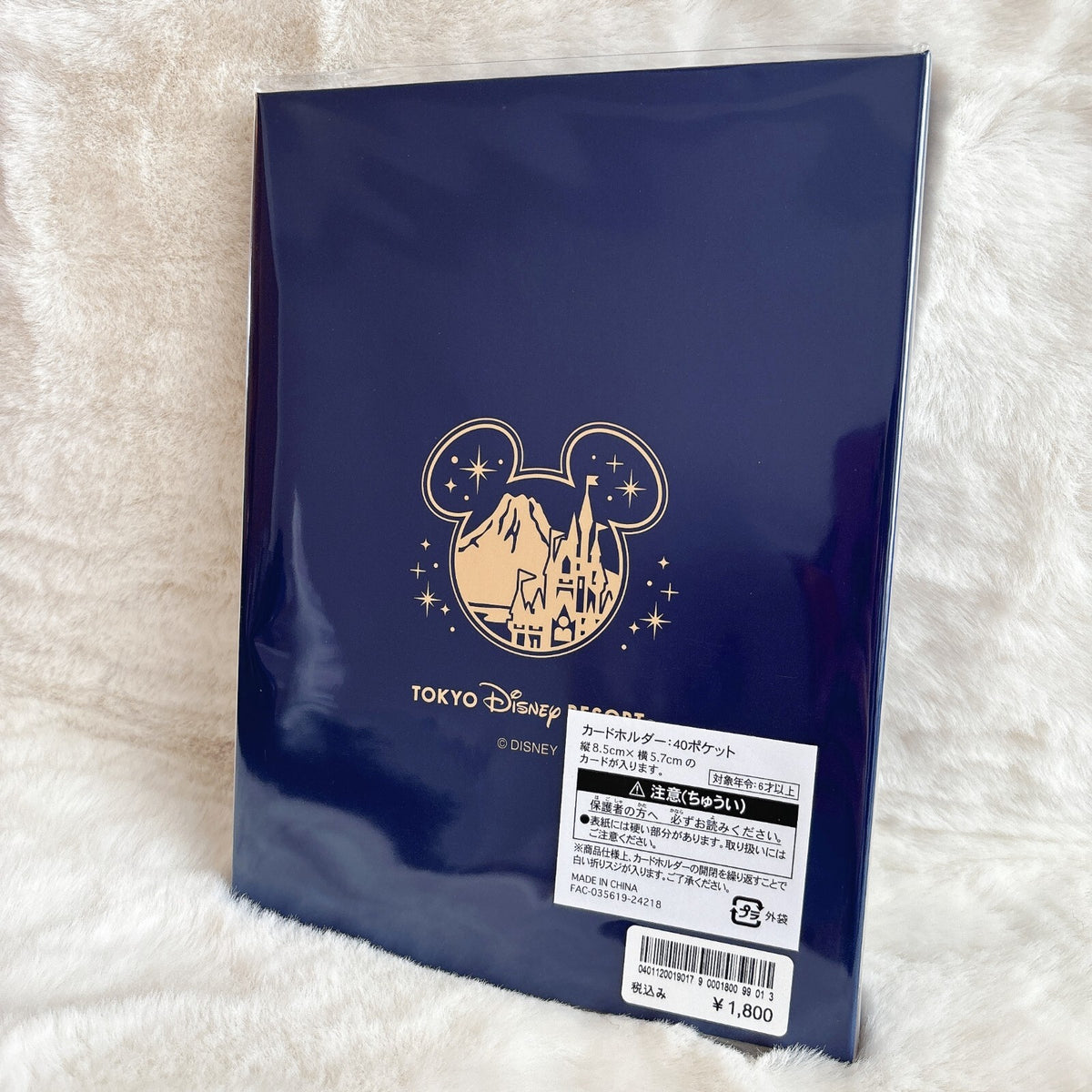 Japan Tokyo Disney Resort Disney Resort Line Ticket Collection Book Card Case