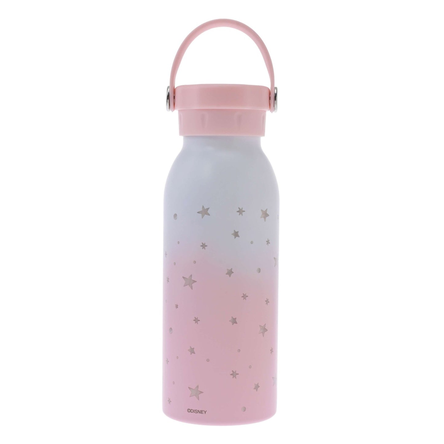 Japan Tokyo Disney Store Chip and Dale Stainless Steel Bottle Drinkware