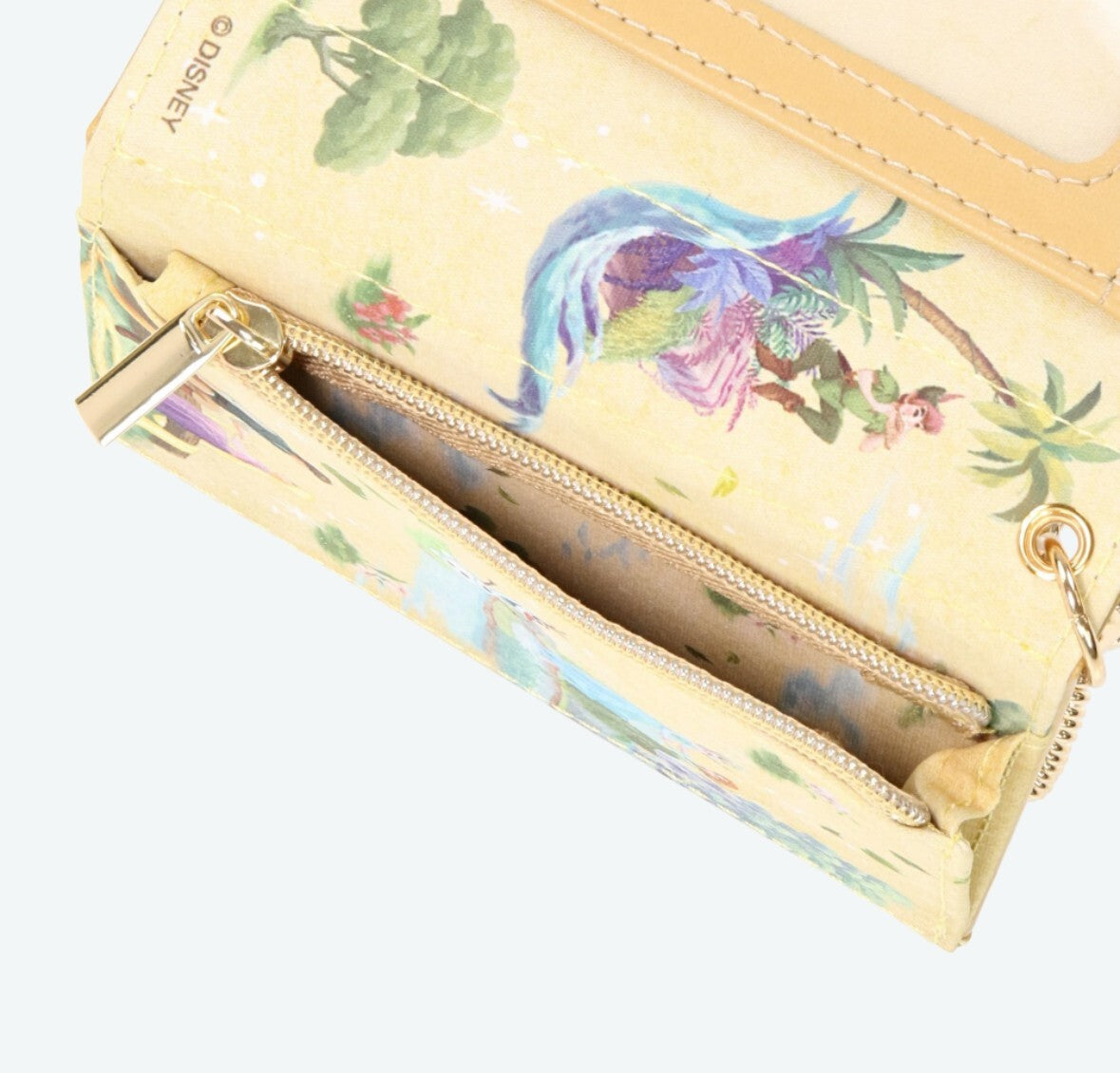 Japan Tokyo Disney Resort Fantasy Springs Pass Case Keychain Peter Pan Rapunzel