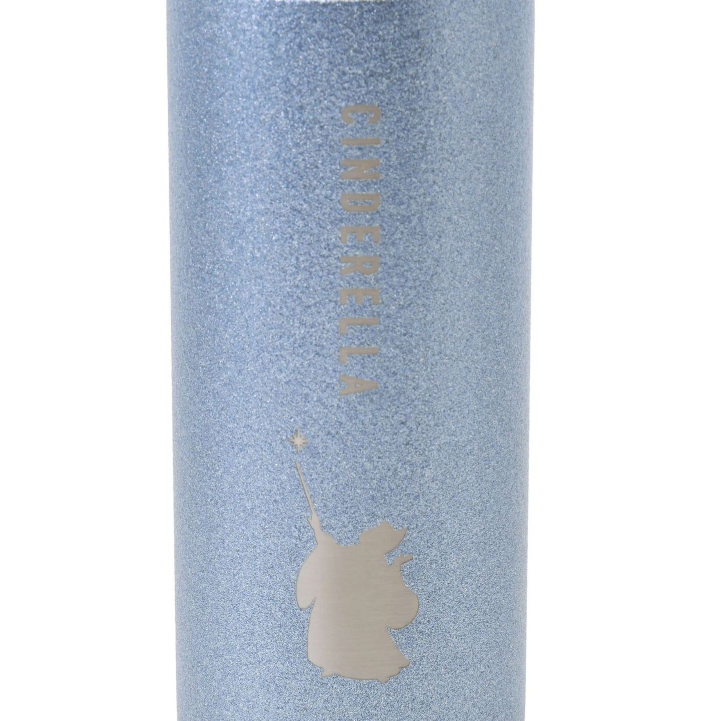 Japan Tokyo Disney Store Cinderella & Fairy Stainless Steel Bottle Drinkware