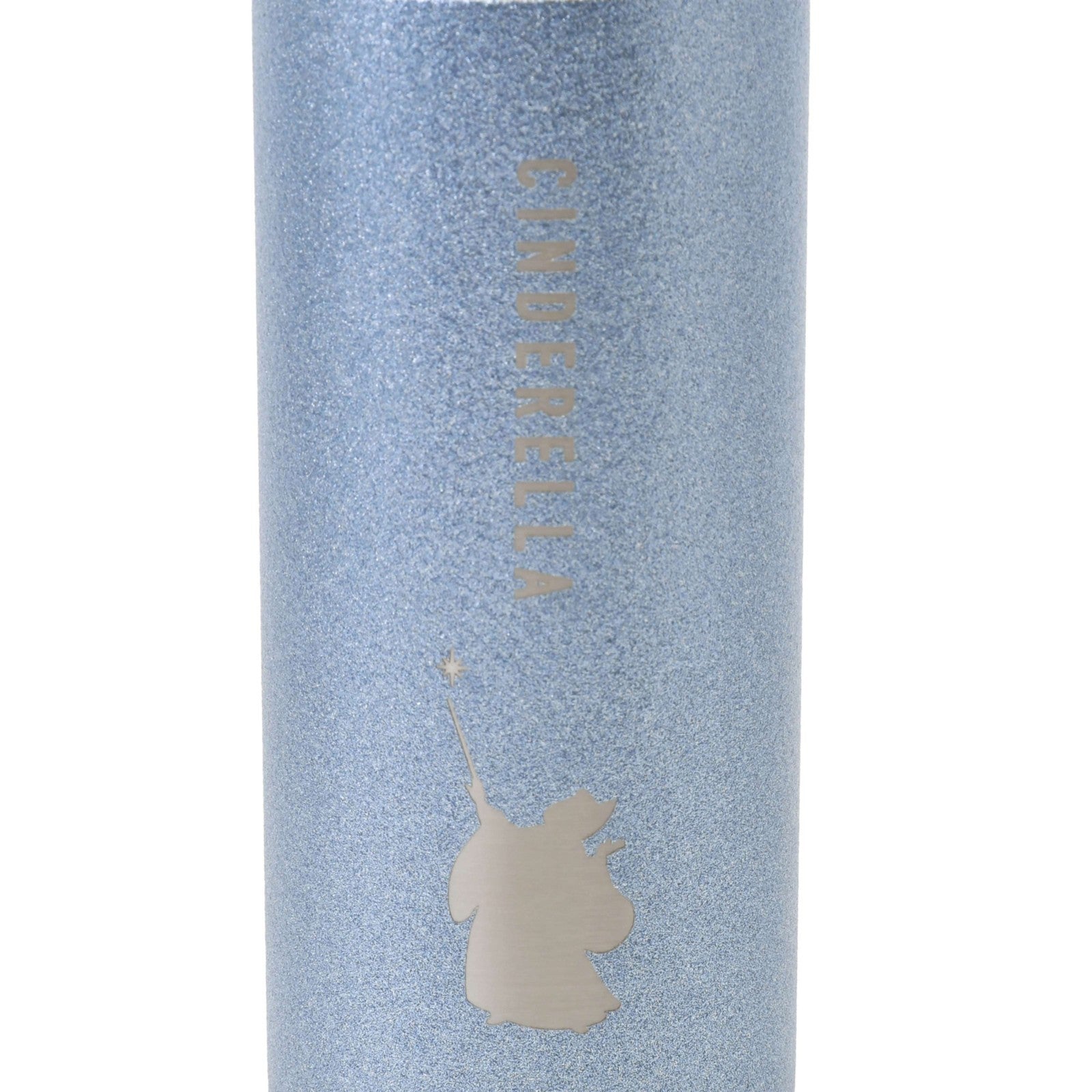 Japan Tokyo Disney Store Cinderella & Fairy Stainless Steel Bottle Drinkware