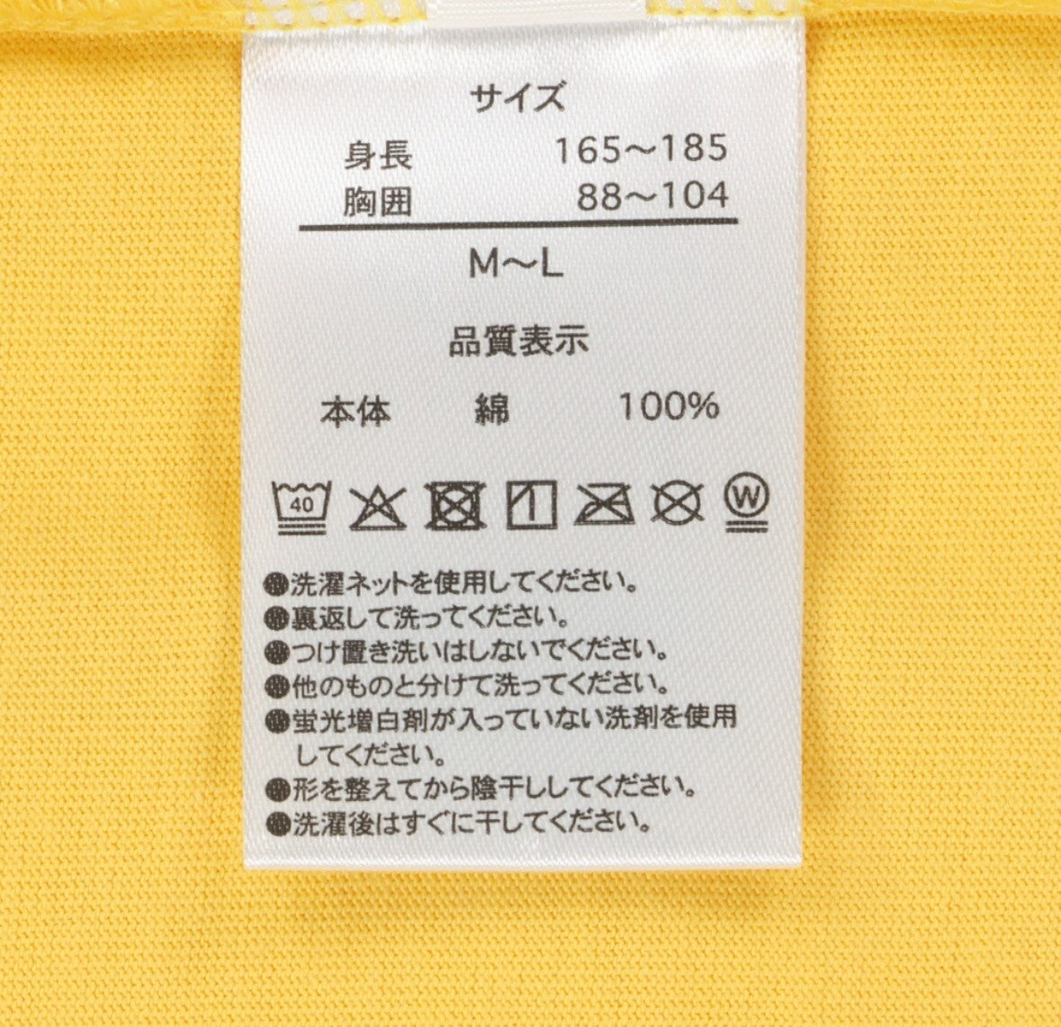 Japan Tokyo Disney Resort T-Shirt Winnie the Pooh 2025 New