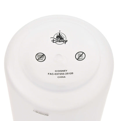 Japan Tokyo Disney Store Baymax Water Bottle 1L Frosted Holiday Gift Drinkware