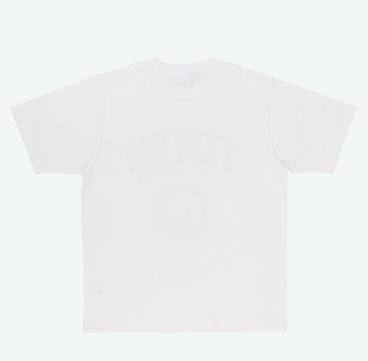 Japan Tokyo Disney Resort T-Shirt Cinderella castle White
