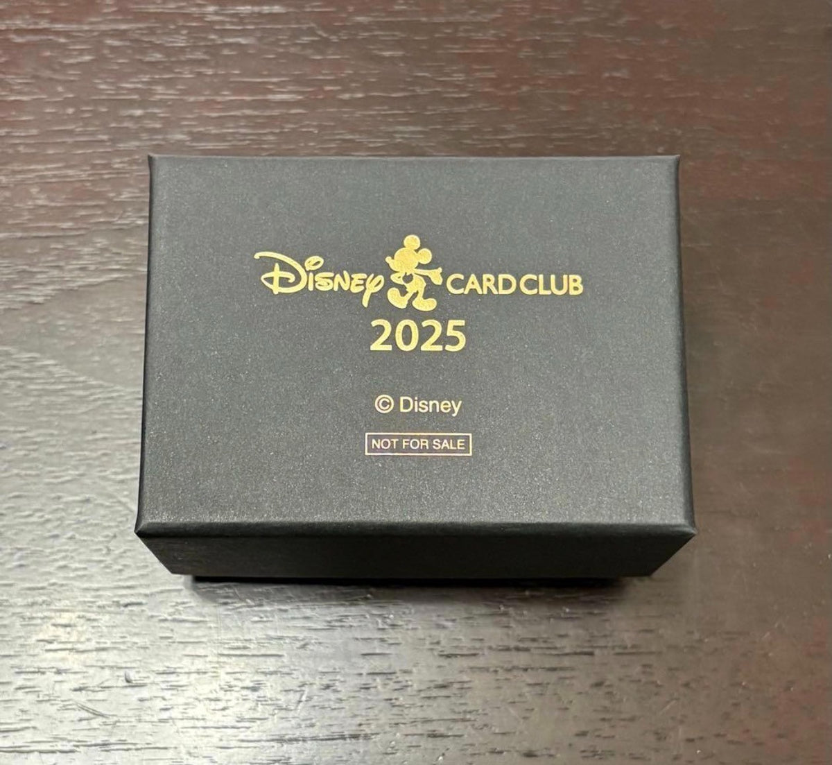 Japan Tokyo Disney Resort Paperweight Figure Rapunzel Lantern Festival JCB