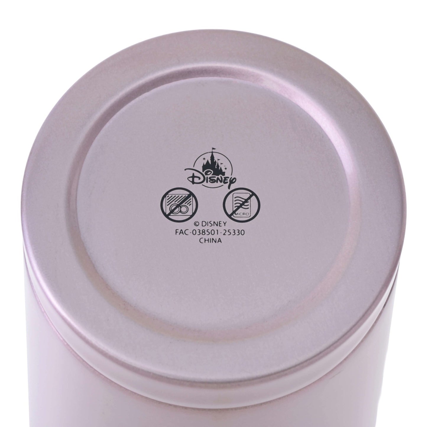 Japan Tokyo Disney Store Aurora Tumbler Stainless Steel with Straw Drinkware