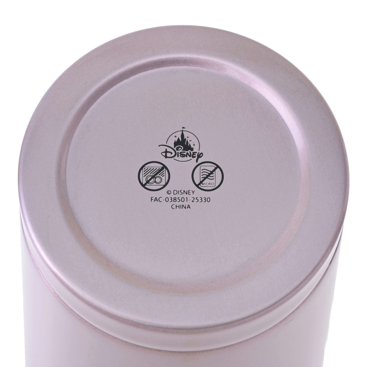 Japan Tokyo Disney Store Aurora Tumbler Stainless Steel with Straw Drinkware