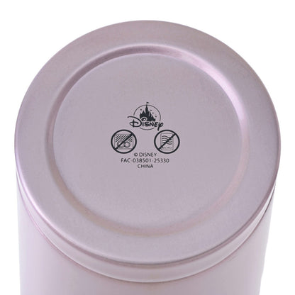 Japan Tokyo Disney Store Aurora Tumbler Stainless Steel with Straw Drinkware